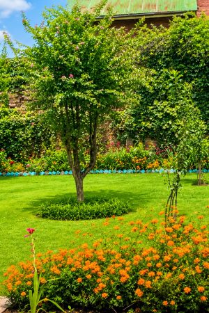 Best Guest House Near Dal Lake Srinagar