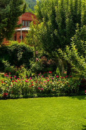 Lakshmi Guest House Garden in Srinagar