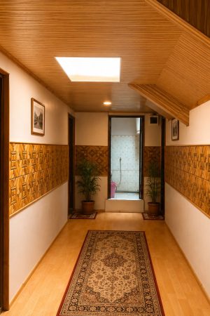 budget hotel Srinagar